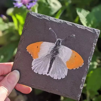 4 Inch Black Slate Stone Coasters