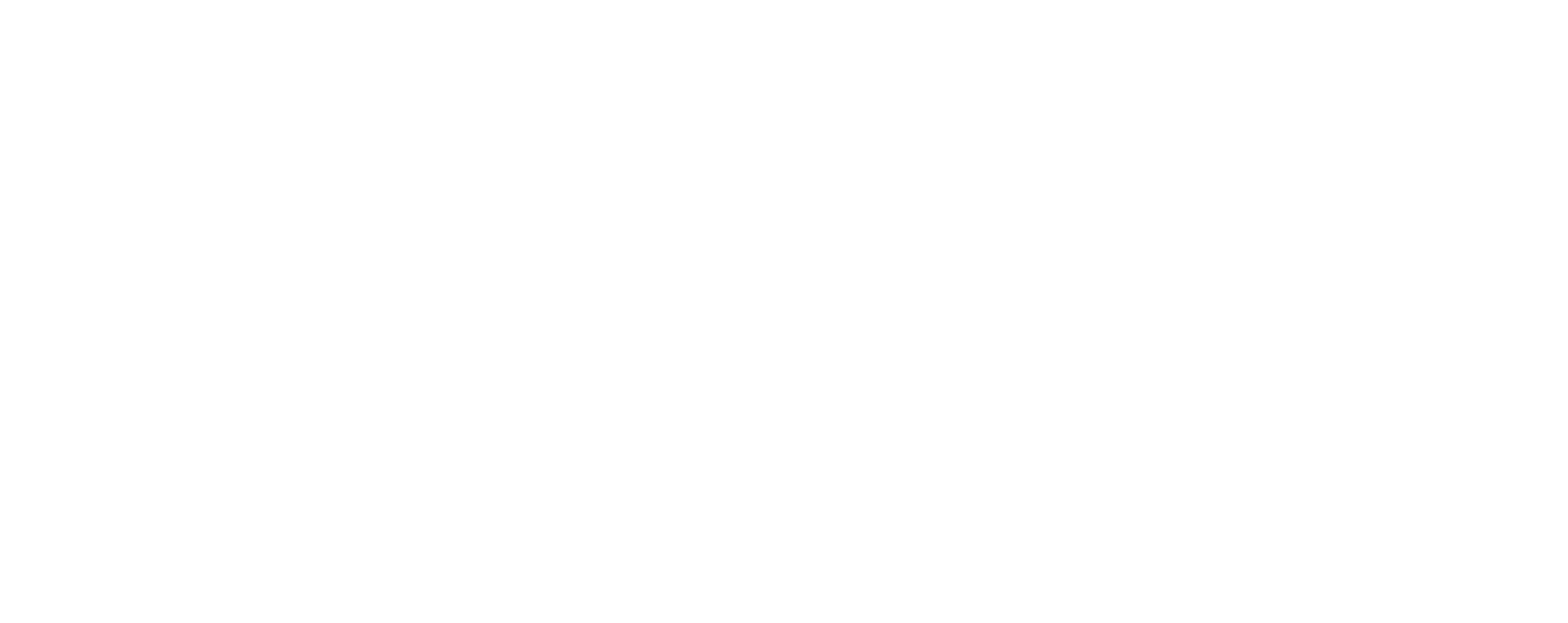 SKYJOY